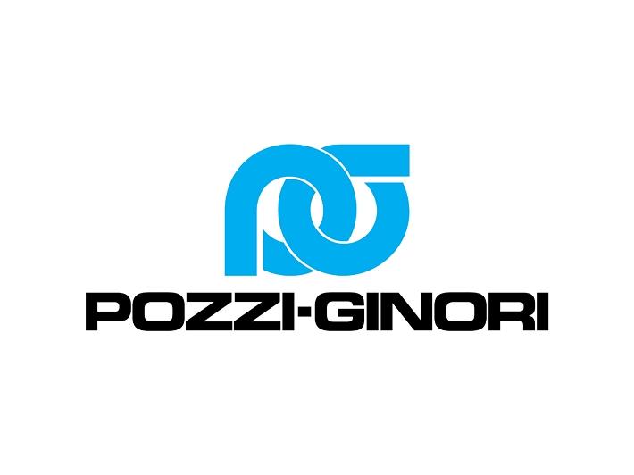 Pozzi ginori