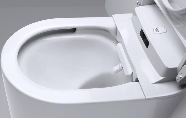 Braço de chuveiro Anti-bacteriano