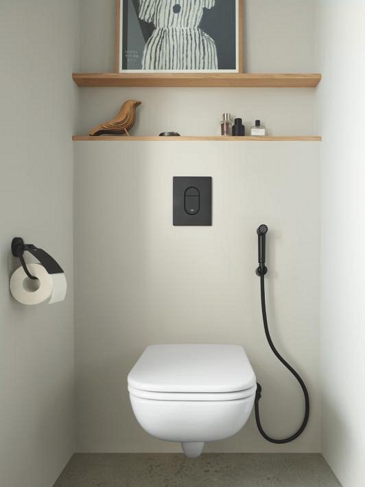 Toilet area with Matte Black accessories and Flush plate