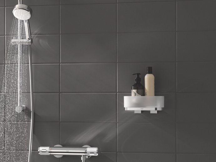 Grohe Piezas de recambio - Escobilla de inodoro, cromo 40392000