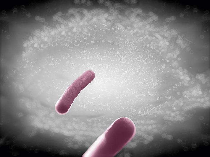 Stops bacteria in their tracks 