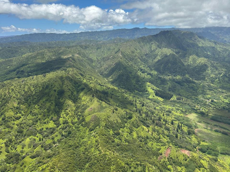 GROHE team ocean in hawaii expeditie