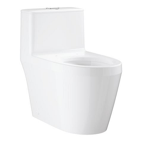 Floor standing one piece toilet without seat and cover