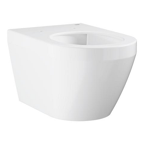 Wall hung WC