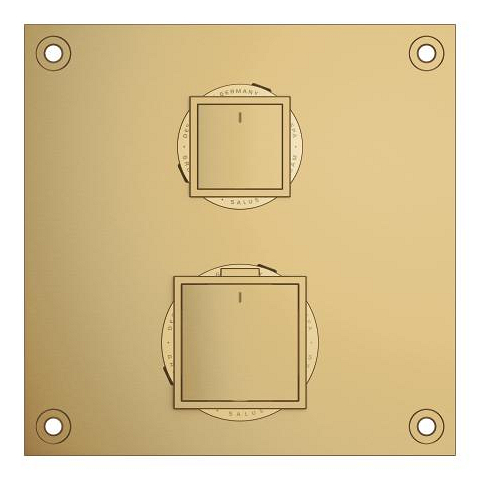 Allure Gravity Термостат скрытого монтажа для душа с переключателем на 2 положения