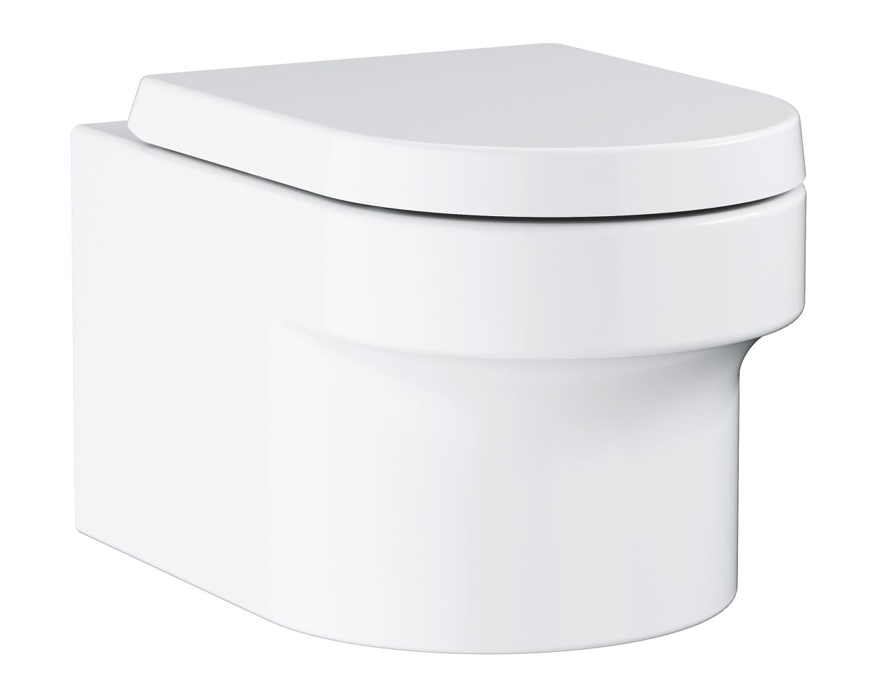 Wall hung WC