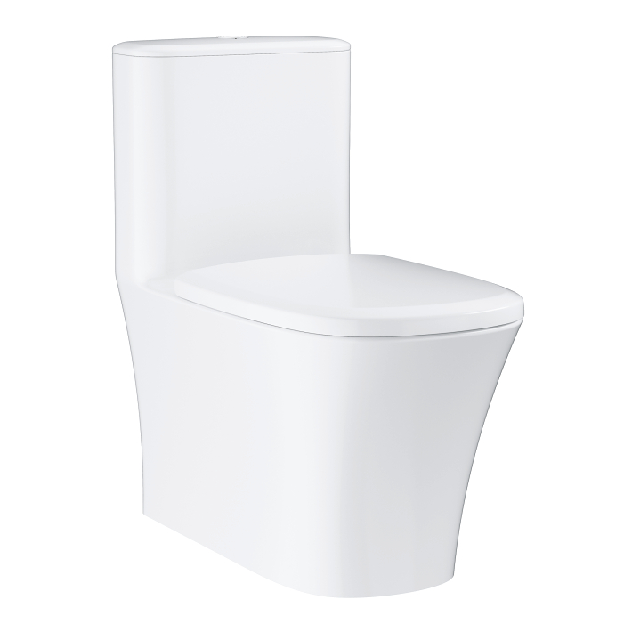 Eurostyle Floor standing 1 piece toilet  GROHE 