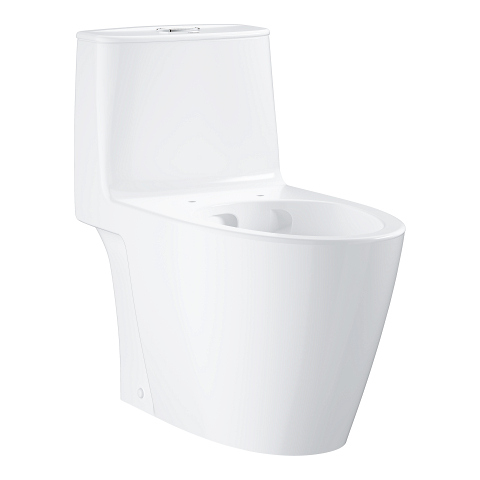 Floor standing one piece toilet without seat and cover