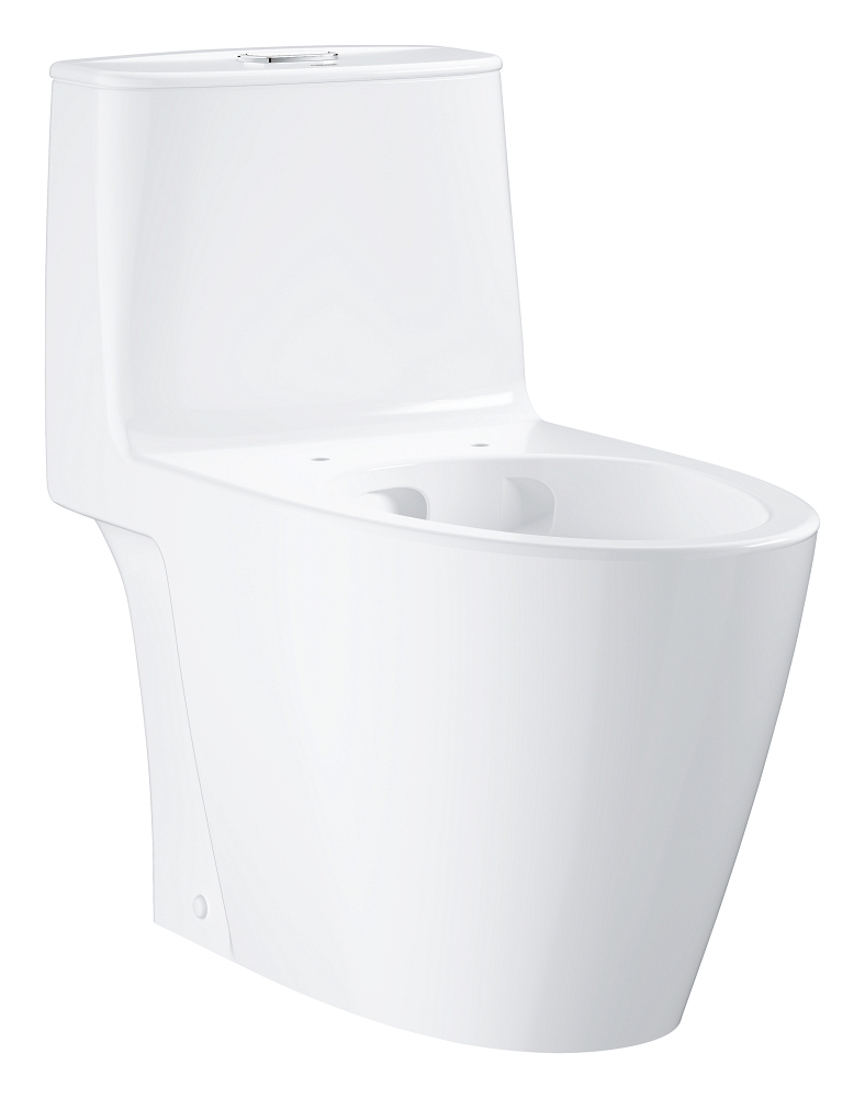 Floor standing one piece toilet without seat and cover