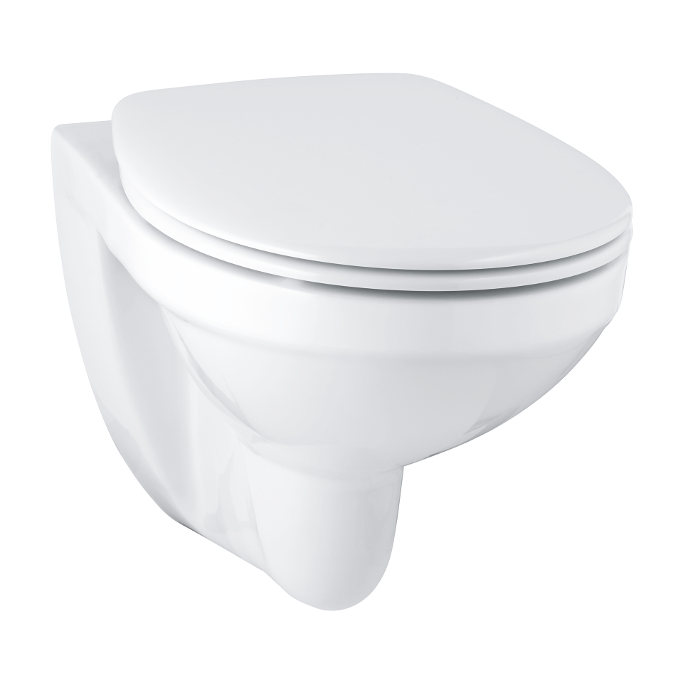 bau ceramic wc