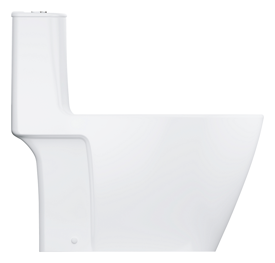 Floor standing one piece toilet without seat and cover
