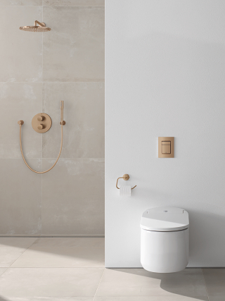 Grohe Piezas de recambio - Escobilla de inodoro, cromo 40392000