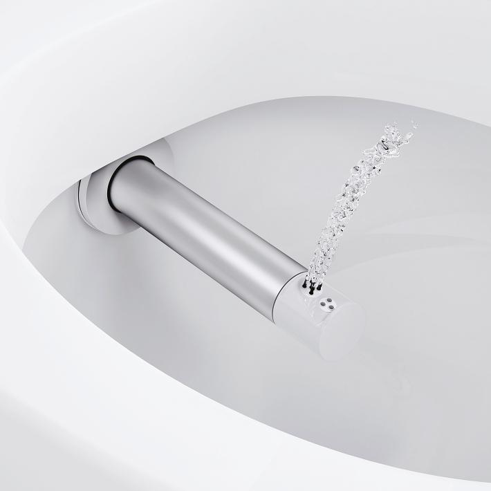 GROHE Sensia IGS Shower toilet complete system for concealed flushing ...